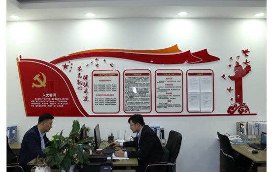 齐东城市品牌运营公司精心打造企业党建文化墙
